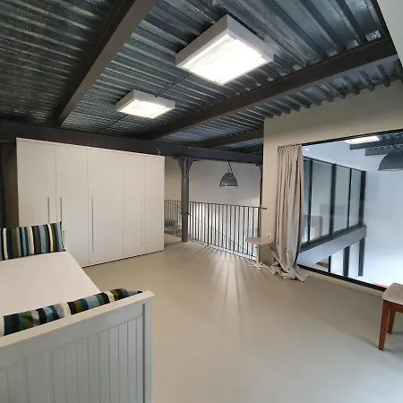Loft Sibylle Апартаменты *
